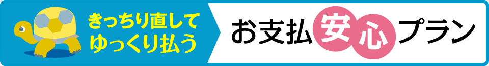 きっちり直してゆっくり払う　お支払安心プラン