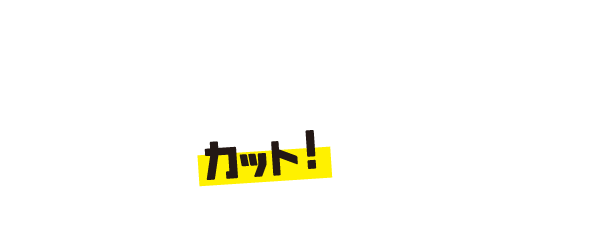 アウトレット中古車について